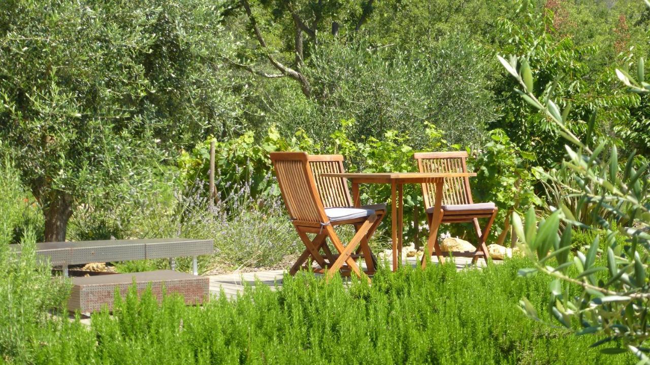 Le Vallon Des Oliviers Montauroux Exterior photo